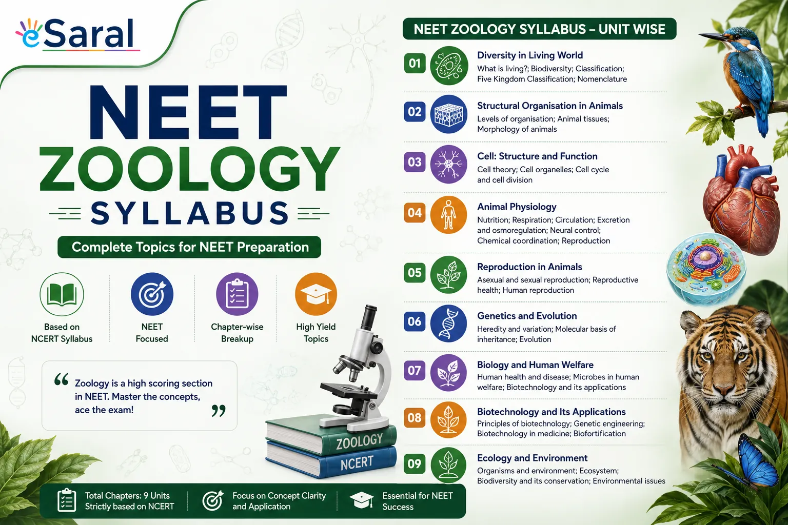 NEET Zoology Syllabus (Latest)– Chapter-wise Topics, Weightage & Expert Tips